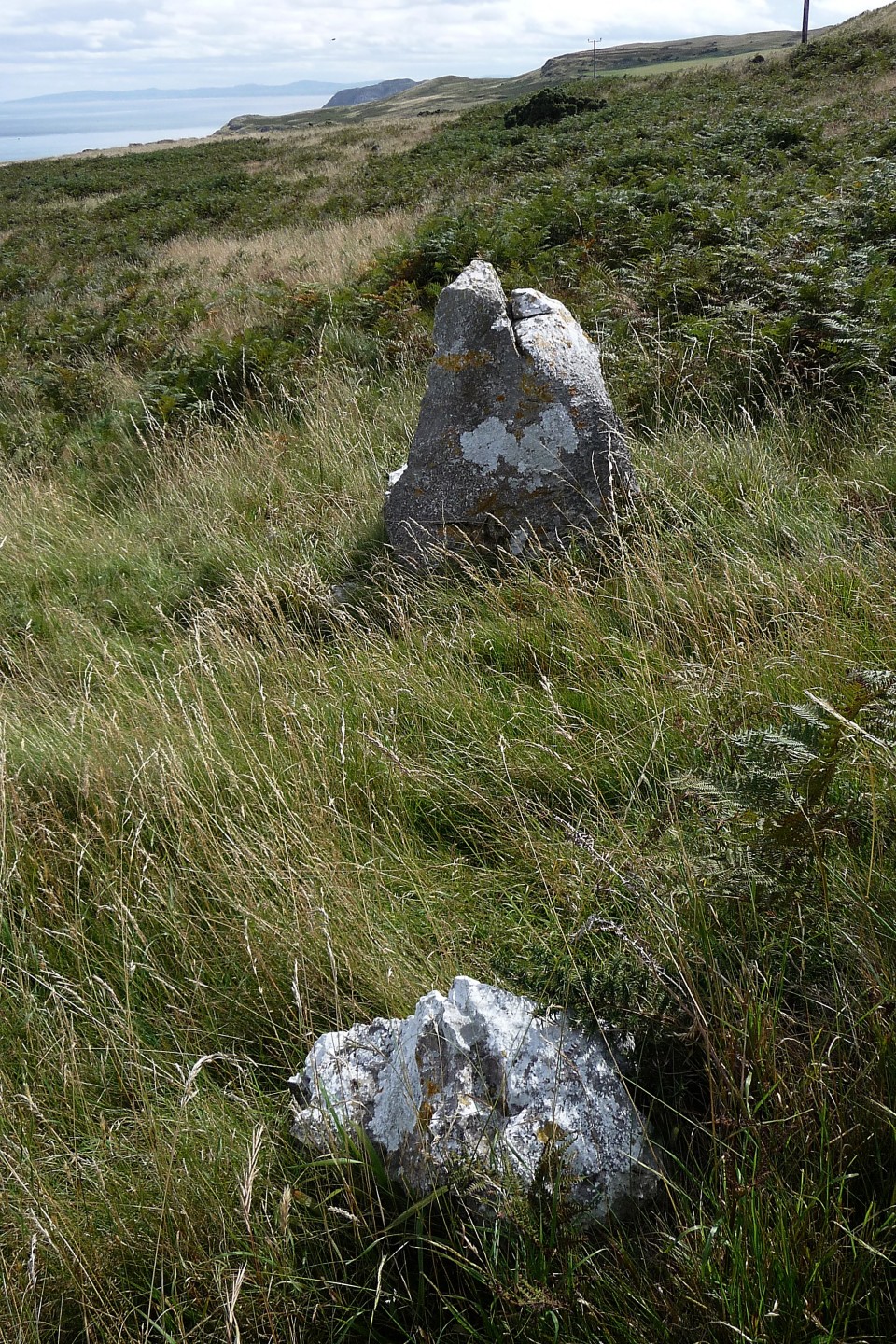 Hwylfa'r Ceirw (Stone Row / Alignment) by thesweetcheat