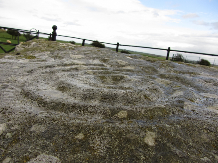 Drumtroddan Carved Rocks (Cup and Ring Marks / Rock Art) by thelonious