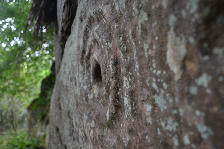 Ballochmyle Walls (Cup and Ring Marks / Rock Art) by thelonious