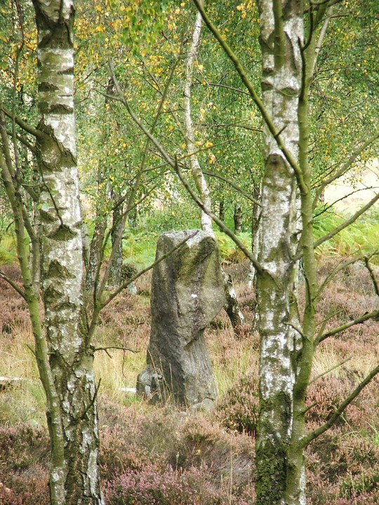 Gardoms Standing Stone (Standing Stone / Menhir) by postman