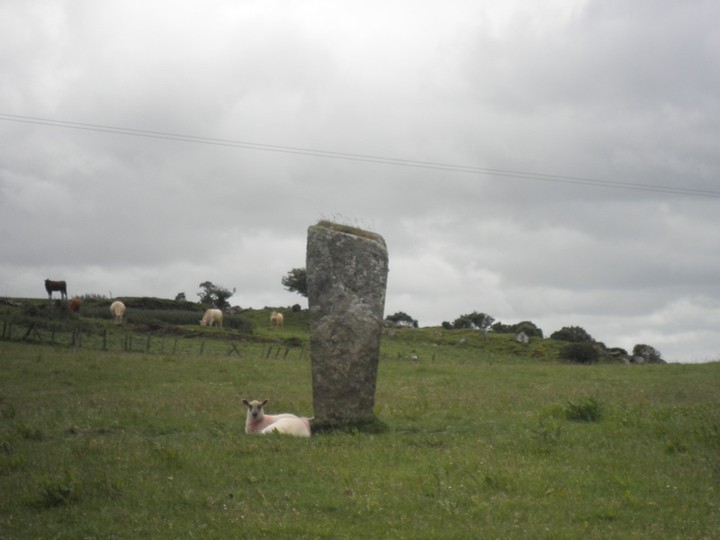 Coolaclevane (Standing Stone / Menhir) by bawn79