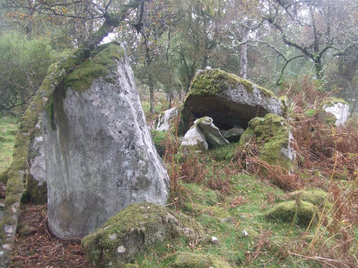 Kings Head Kinrive wood (Chambered Cairn) by strathspey