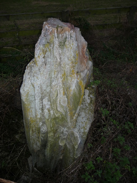 Glen Livet (Standing Stone / Menhir) by drewbhoy