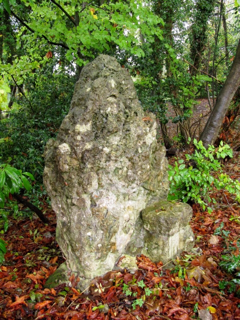 The Horestone (Rodborough) (Standing Stone / Menhir) by tjj