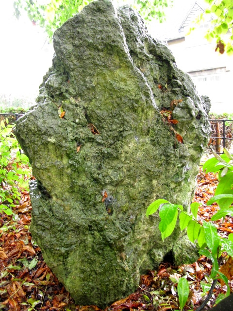 The Horestone (Rodborough) (Standing Stone / Menhir) by tjj