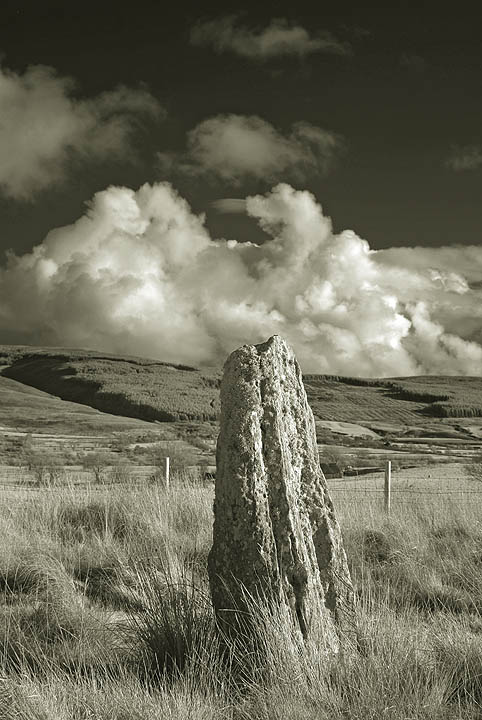 Machrie Moor (Stone Circle) by fitzcoraldo