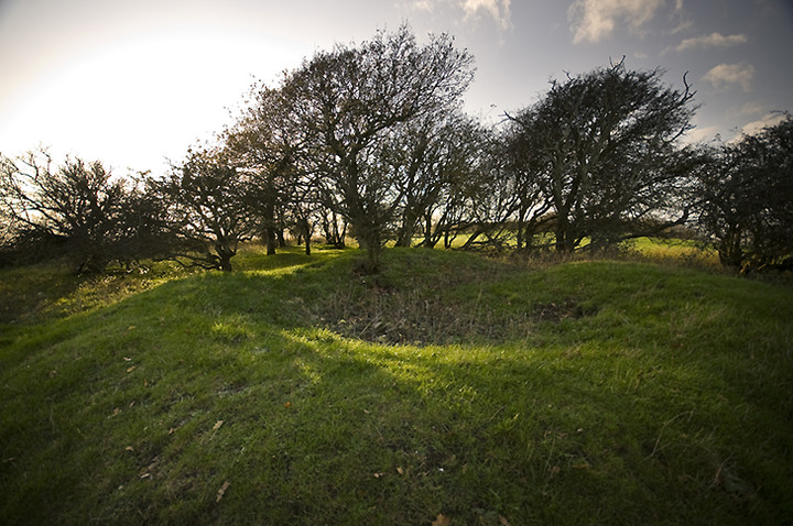 Springhead Hill (Dyke) by A R Cane