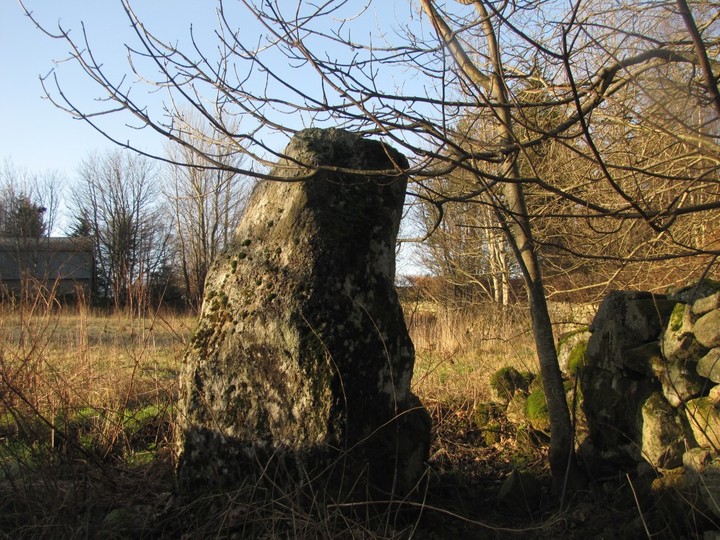 Tilquhillie (Stone Circle) by LesHamilton