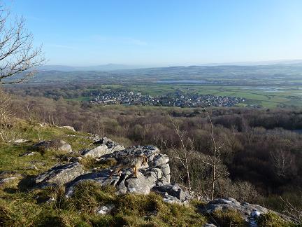 Warton Crag (Hillfort) by Vicster