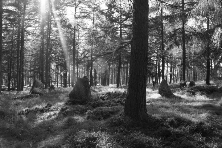Nine Stanes (Stone Circle) by Ravenfeather