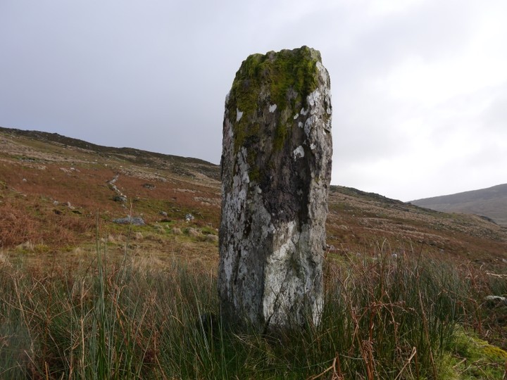 Borlin Valley Standing Stone (Standing Stone / Menhir) by Meic