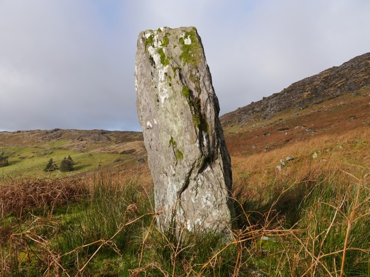 Borlin Valley Standing Stone (Standing Stone / Menhir) by Meic