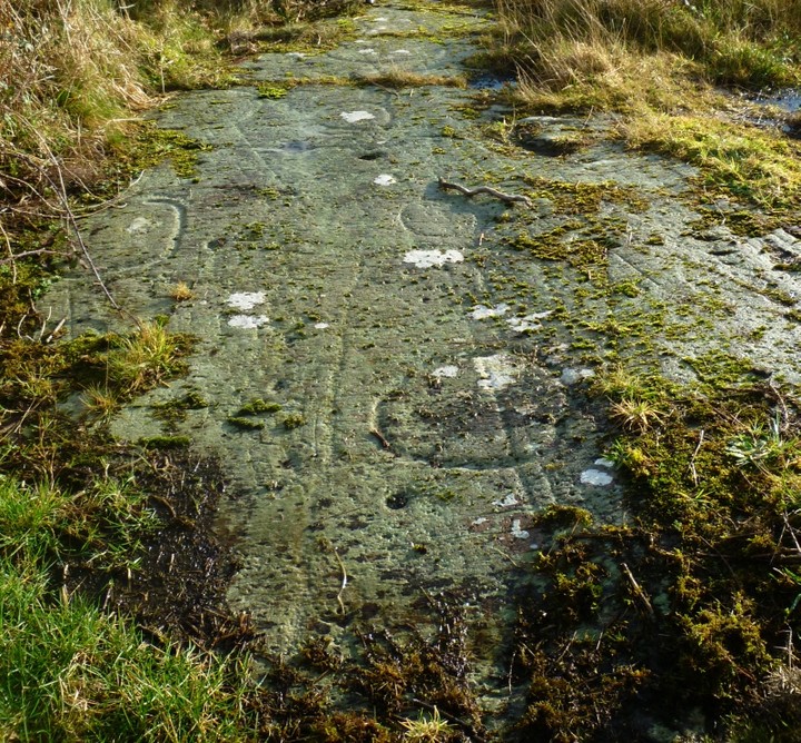 Ballybane (The Rock of the Rings) (Cup and Ring Marks / Rock Art) by Meic
