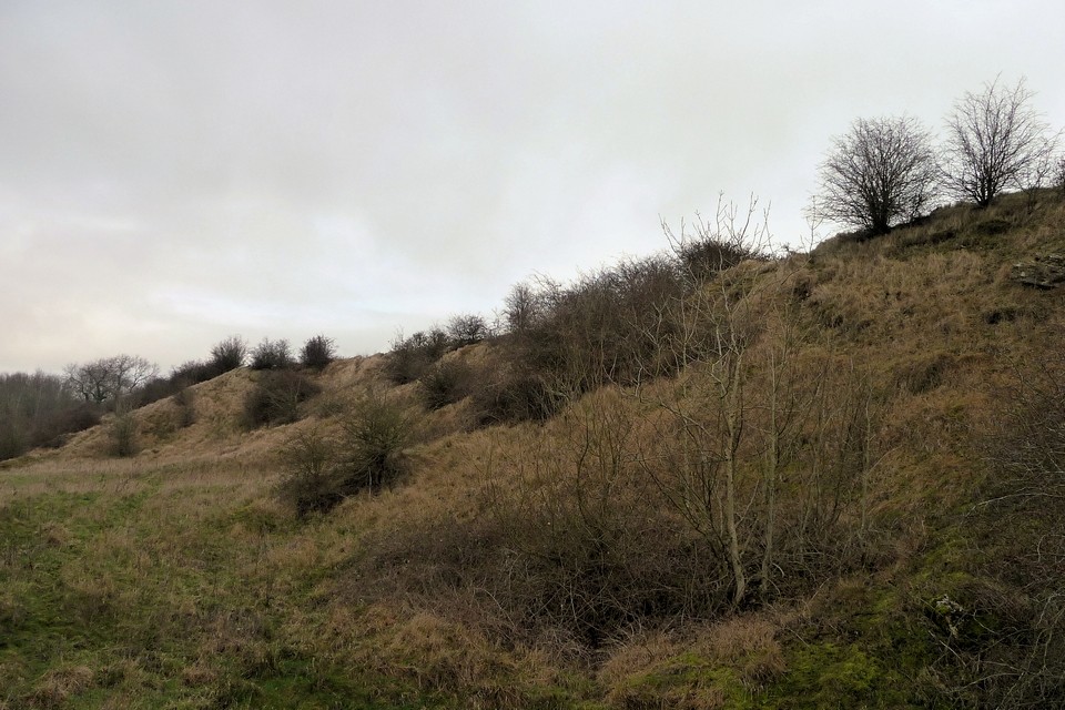 Nottingham Hill (Hillfort) by thesweetcheat