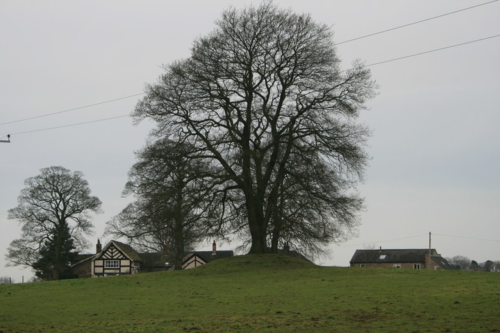 Broad Oak Farm (Round Barrow(s)) by postman