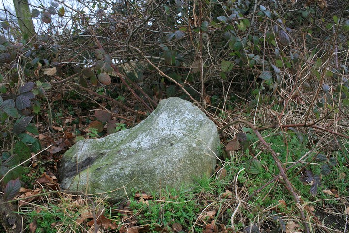 Henbury (Stone Circle) by postman