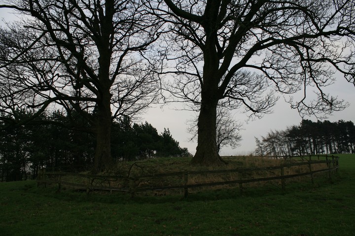 Bearhurst Farm (Round Barrow(s)) by postman