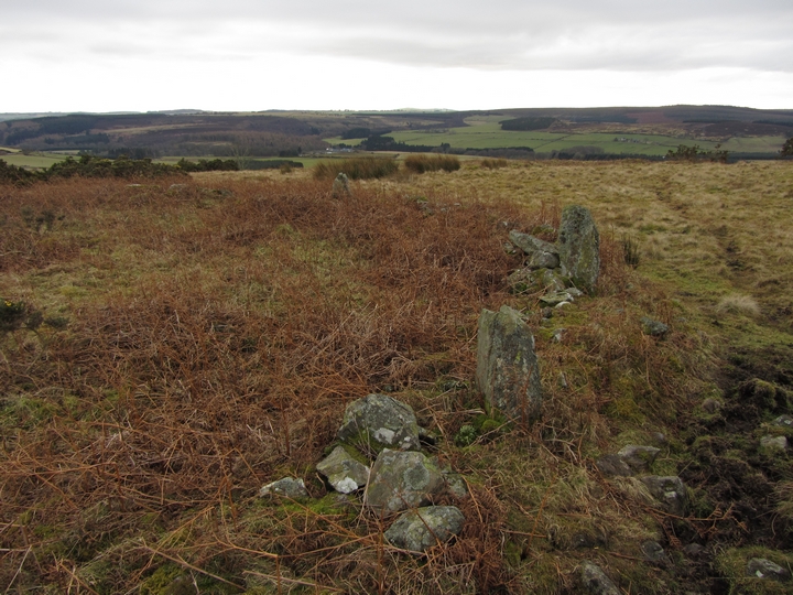 Raedykes (Ring Cairn) by thelonious