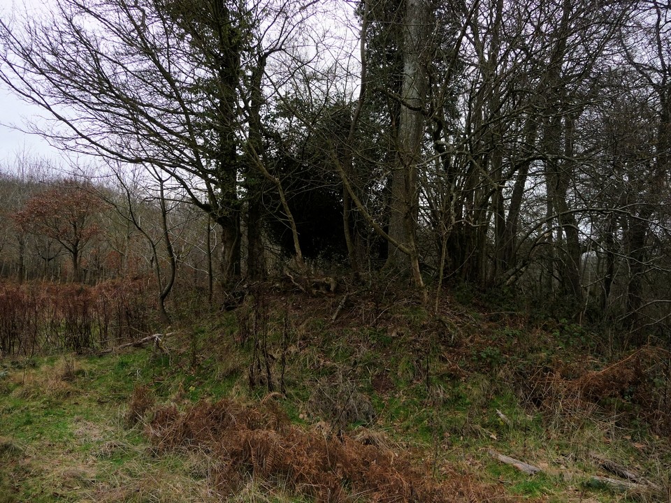 Dinmore Camp (Hillfort) by thesweetcheat