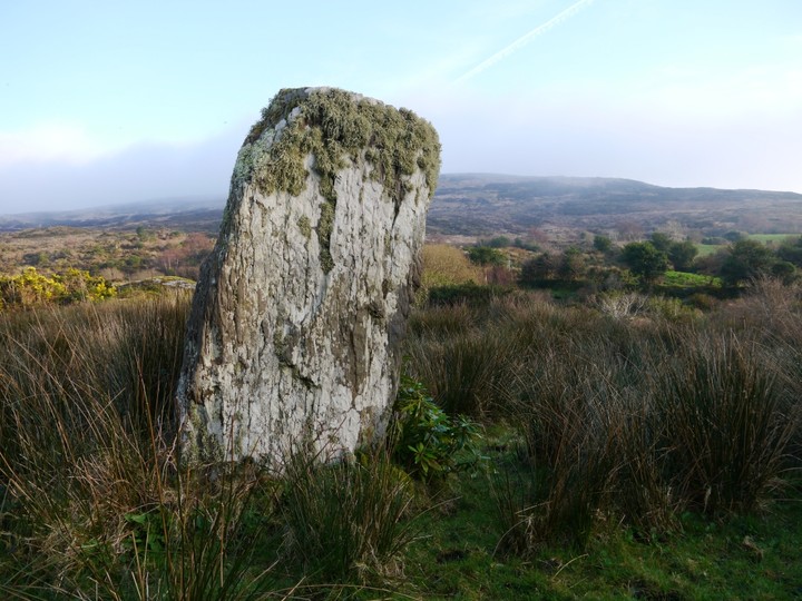 Kildromalive (Standing Stone / Menhir) by Meic