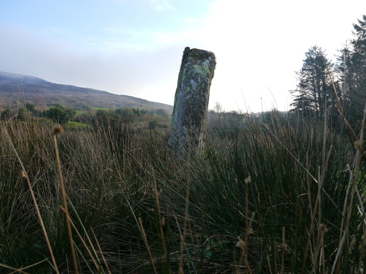 Kildromalive (Standing Stone / Menhir) by Meic