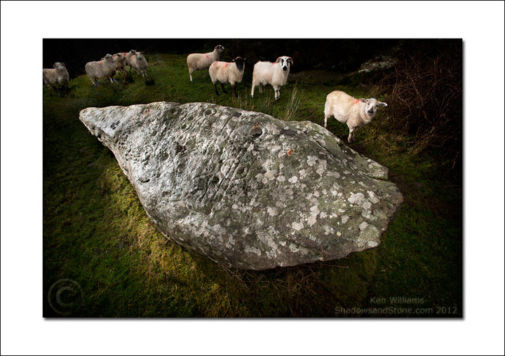 Milltown (Cup and Ring Marks / Rock Art) by CianMcLiam