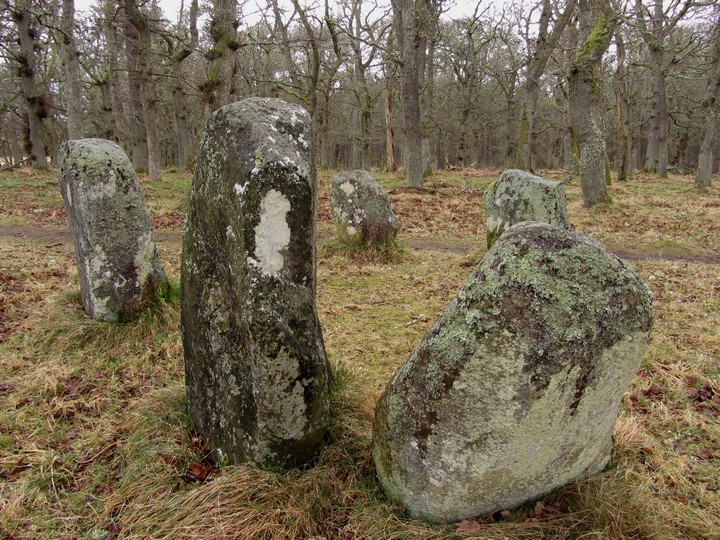 Image Wood (Stone Circle) by thelonious