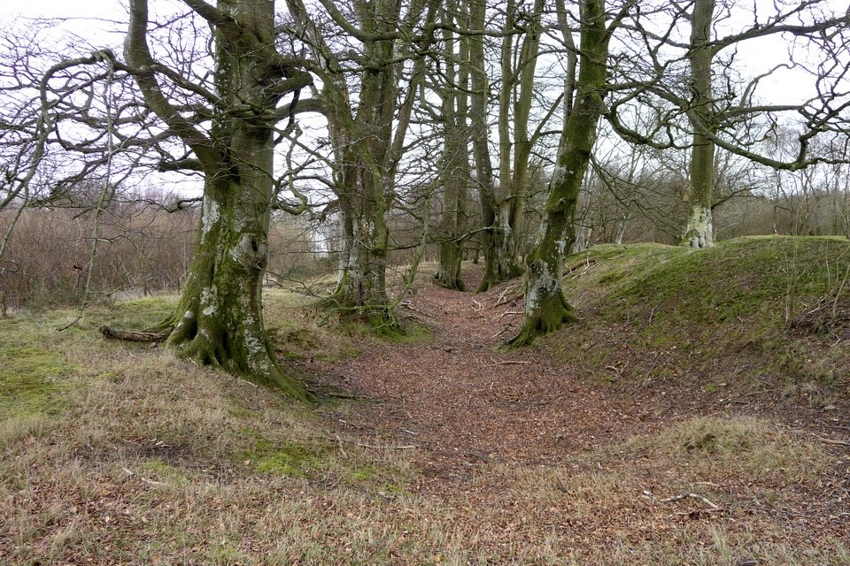 Castle Ring (Old Radnor) (Hillfort) by thesweetcheat