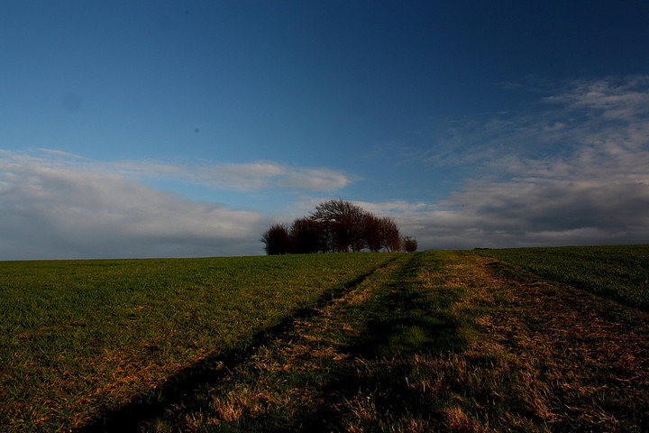 Gallows Hill (Round Barrow(s)) by GLADMAN