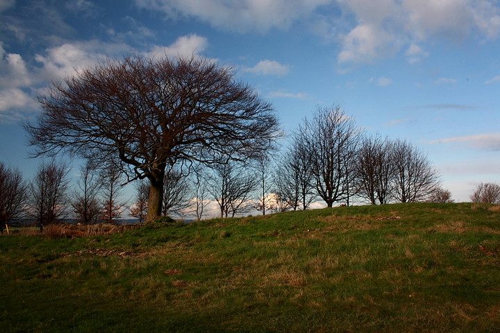 Gallows Hill (Round Barrow(s)) by GLADMAN