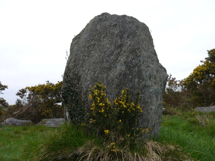 Gorteanish (Stone Circle) by Meic