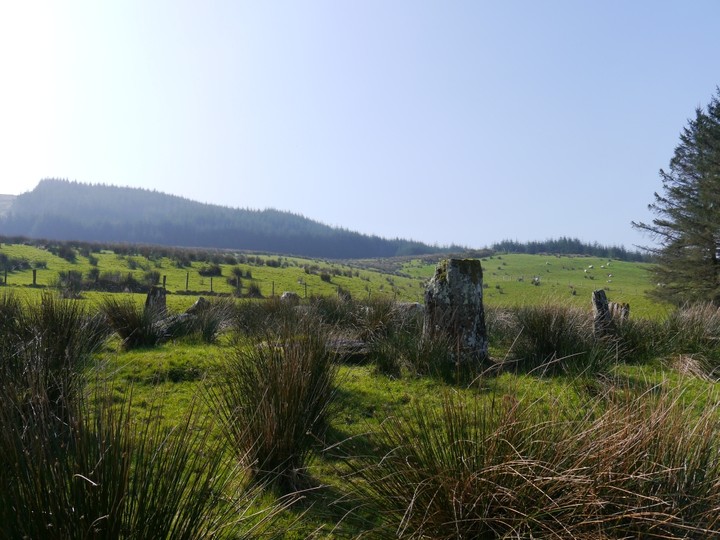 Maughanaclea NE (Stone Circle) by Meic