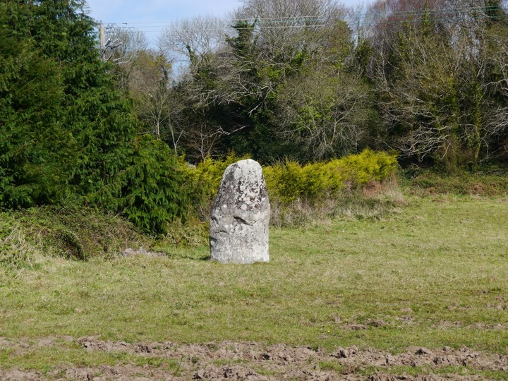 Fossa (Standing Stone / Menhir) by Meic