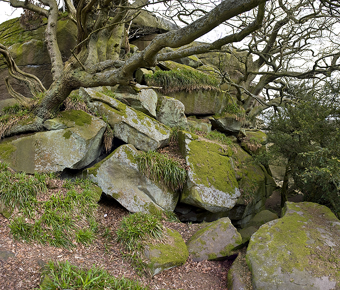 Cratcliff Rocks (Defended Settlements and Cave) (Enclosure) by A R Cane
