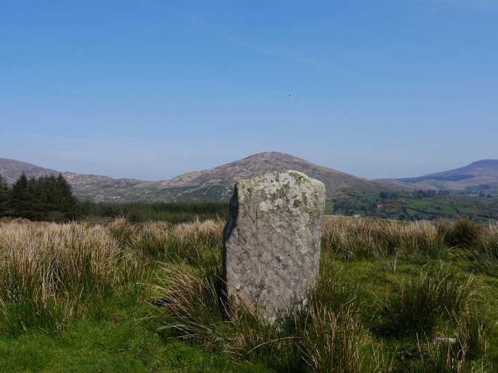 Cappaboy Beg (Standing Stone / Menhir) by Meic