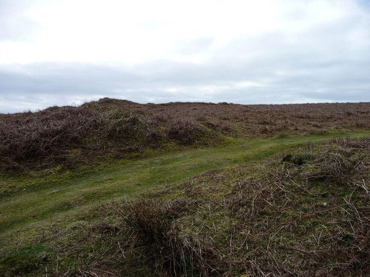 Hardings Down East Fort (Hillfort) by thesweetcheat