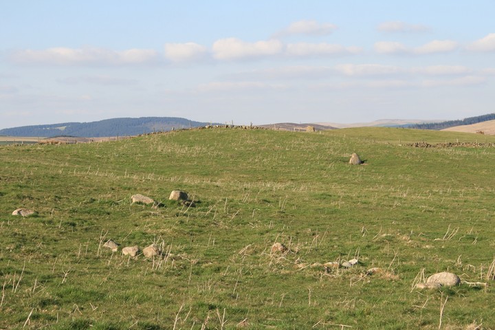Longgutter (Round Barrow(s)) by postman