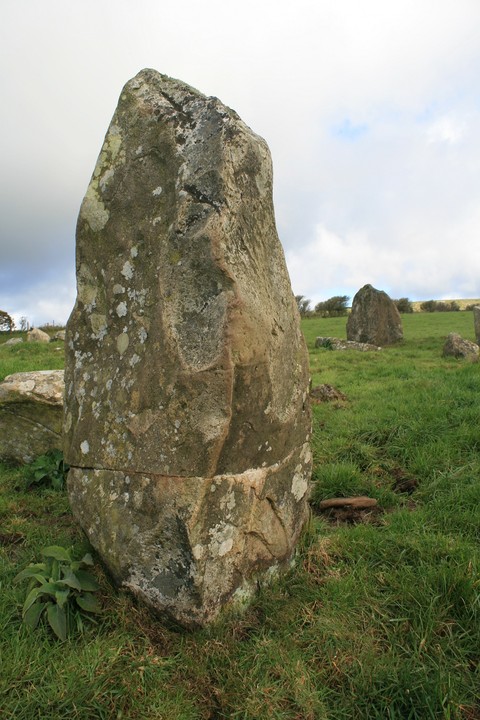 Dyffryn Stones (Ring Cairn) by postman