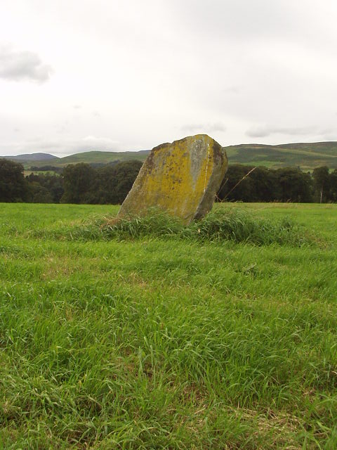 Witches Stone (Monzie) (Standing Stone / Menhir) by scotty