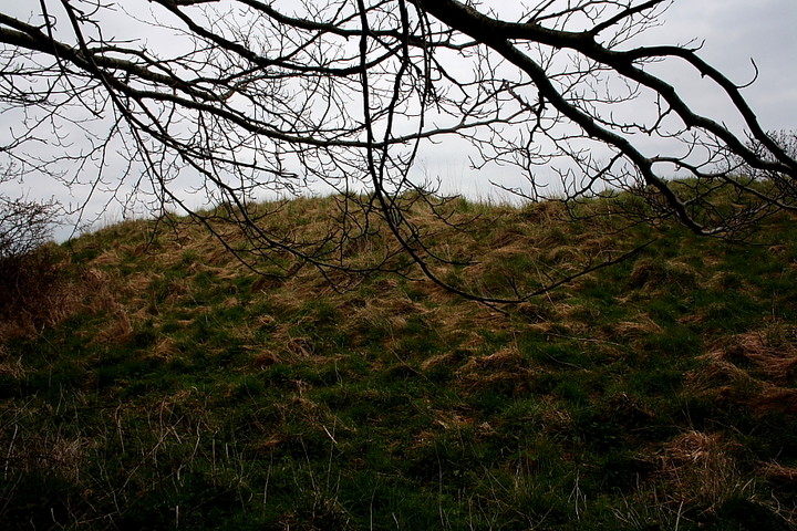 White Sheet Hill (Long Barrow) by GLADMAN