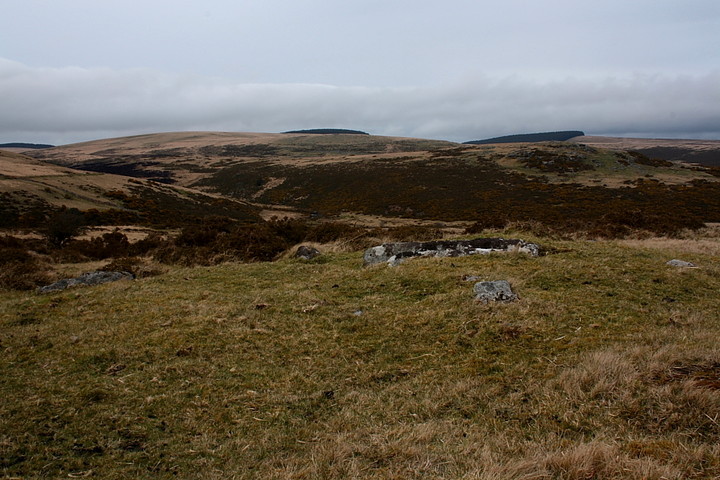 Chittaford Cairn and Cist (Cist) by GLADMAN