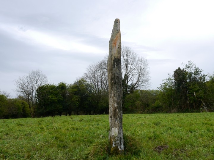 Ballymakeery (Standing Stones) by Meic