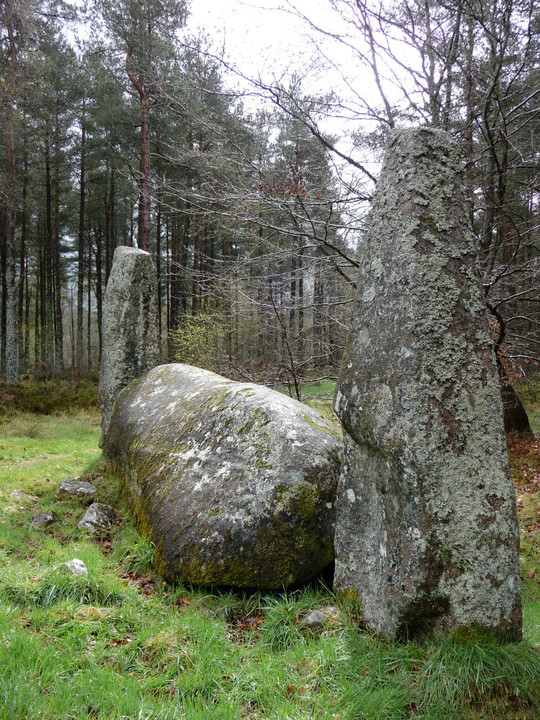 Cothiemuir Wood (Stone Circle) by thesweetcheat