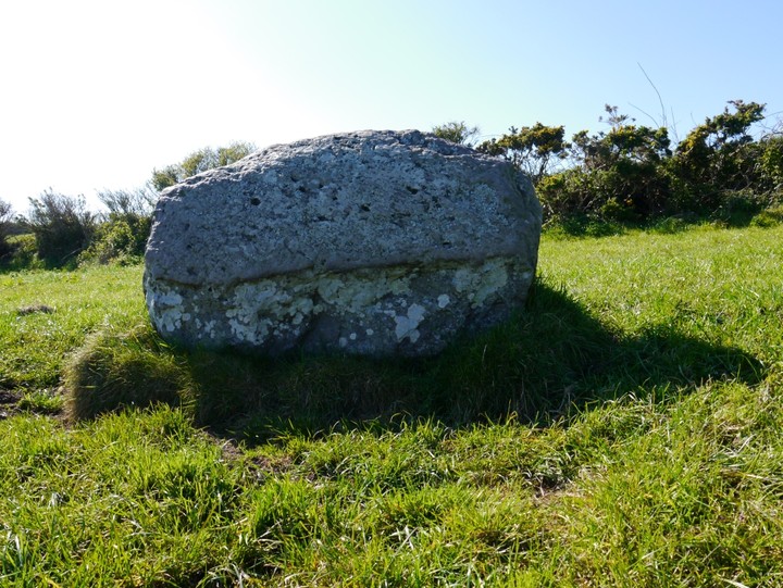 Lissagriffin (Standing Stone / Menhir) by Meic