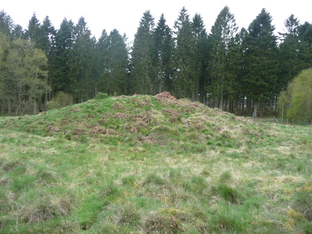 Witch Hillock (Round Barrow(s)) by drewbhoy