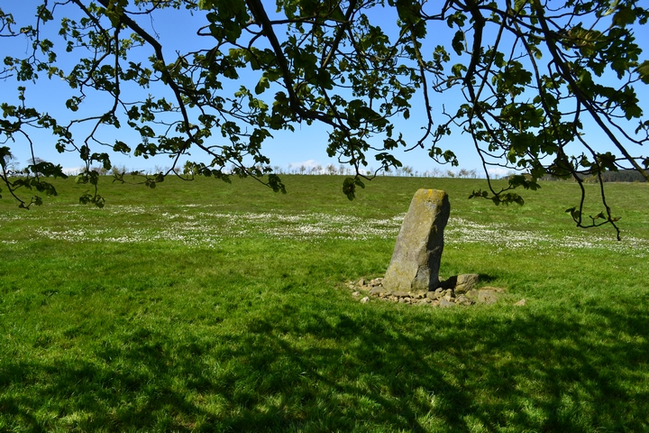 Auchmachar (Stone Circle) by thelonious