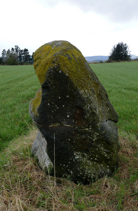 Gallow Hill (Standing Stone / Menhir) by thesweetcheat