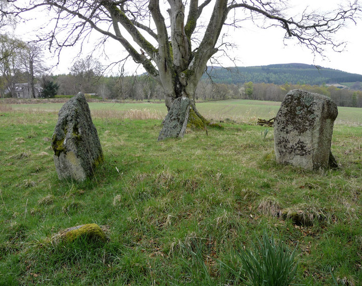 Deer Park (Stone Circle) by thesweetcheat
