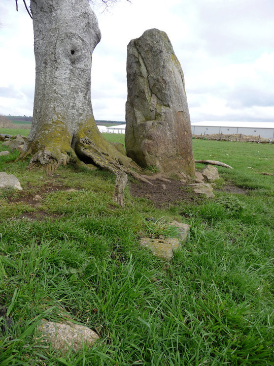 Cairnhall (Stone Circle) by thesweetcheat
