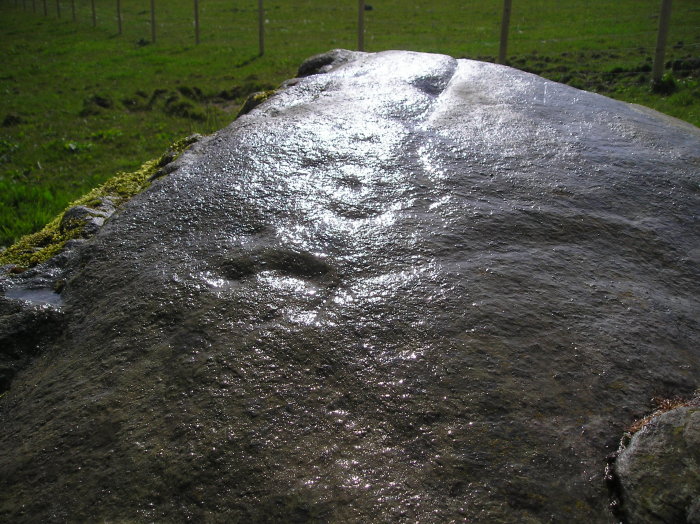 Tullichuil (Cup and Ring Marks / Rock Art) by tiompan